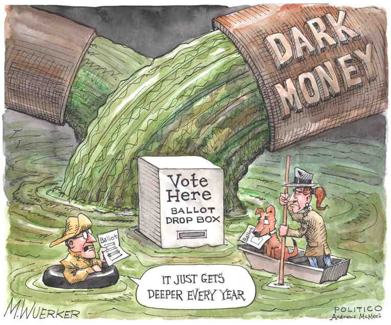 Political/Editorial Cartoon by Matt Wuerker, Politico on Voters Conflicted