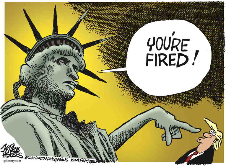 Political/Editorial Cartoon by Mike Peters, Dayton Daily News on Fascism Rejected