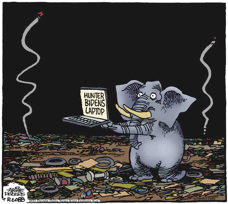 Political/Editorial Cartoon by Mike Peters, Dayton Daily News on McCarthy Reveals GOP Plan