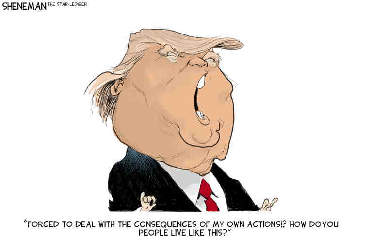 Political/Editorial Cartoon by Drew Sheneman, Newark Star Ledger on Jury Finds Trump Liable