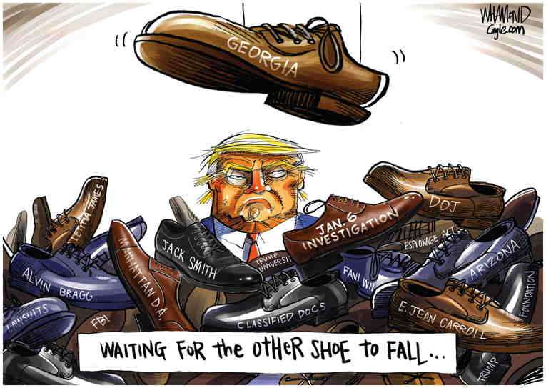 Political/Editorial Cartoon by Dave Whamond, Canada, PoliticalCartoons.com on Trump Steps Up Campaign