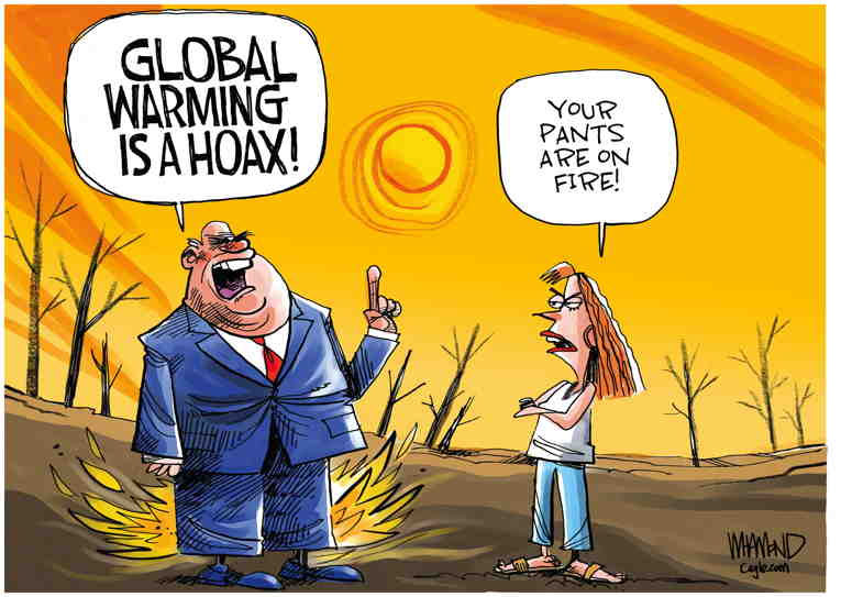 Political/Editorial Cartoon by Dave Whamond, Canada, PoliticalCartoons.com on Hurricane Demolishes Acapulco
