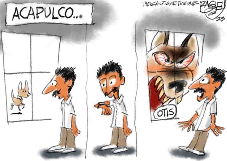 Political/Editorial Cartoon by Pat Bagley, Salt Lake Tribune on Hurricane Demolishes Acapulco