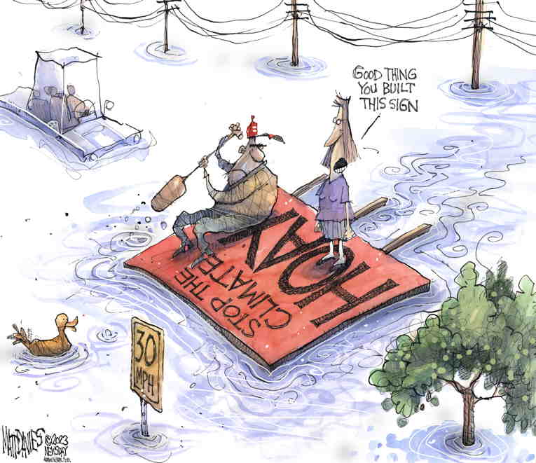 Political/Editorial Cartoon by Matt Davies, Journal News on Hurricane Demolishes Acapulco