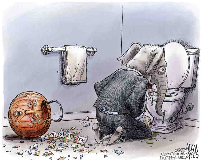 Political/Editorial Cartoon by Adam Zyglis, The Buffalo News on Voters Reject Republicans