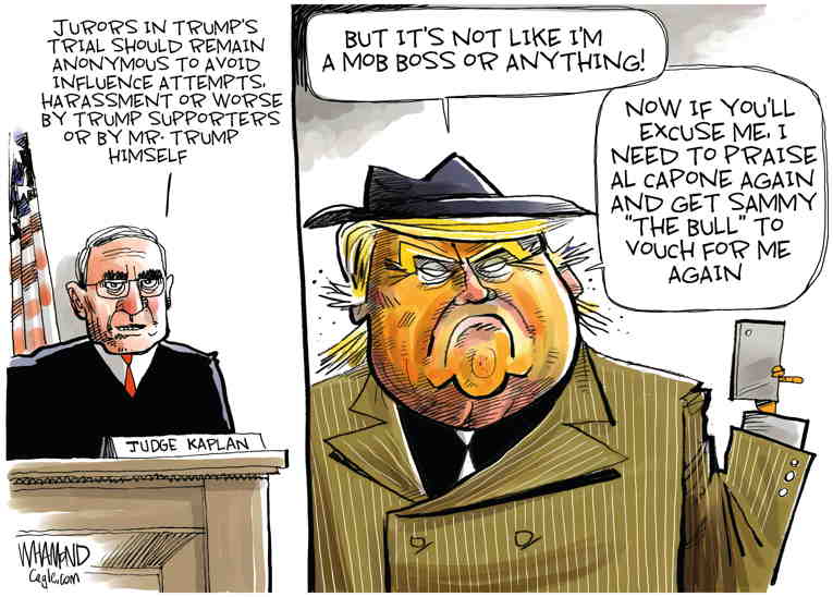 Political/Editorial Cartoon by Dave Whamond, Canada, PoliticalCartoons.com on Trump Court Spectacle