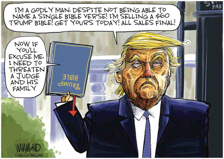 Political/Editorial Cartoon by Dave Whamond, Canada, PoliticalCartoons.com on Trump Selling Bibles