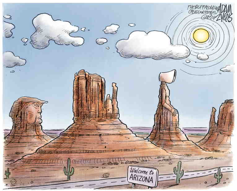 Political/Editorial Cartoon by Adam Zyglis, The Buffalo News on Arizona Abortion Law Stand