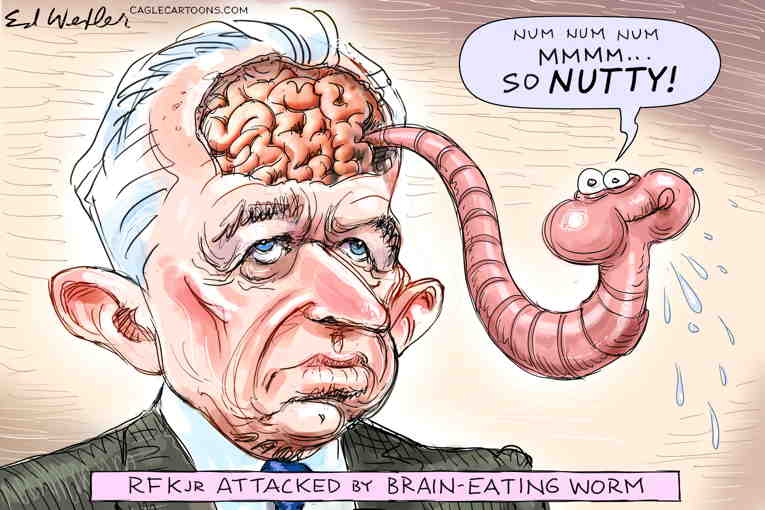 Political/Editorial Cartoon by Ed Wexler, PoliticalCartoons.com on Worm Dies in RFK Jr.s Brain