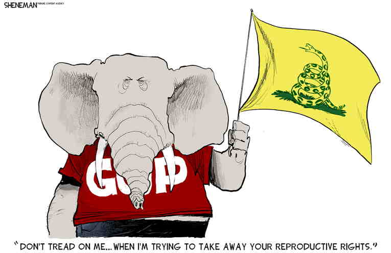 Political/Editorial Cartoon by Drew Sheneman, Newark Star Ledger on GOP Plans Further Restrictions