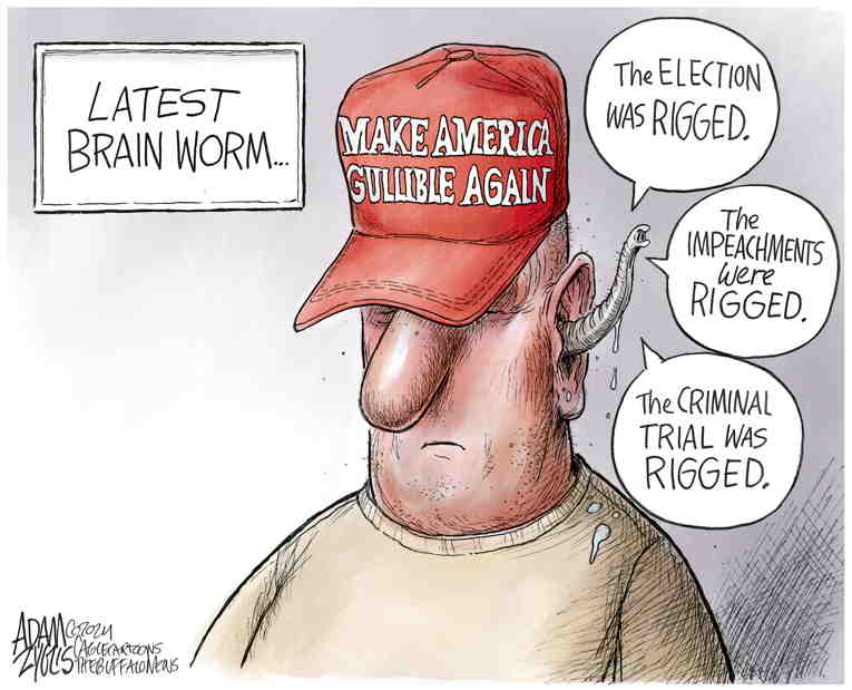 Political/Editorial Cartoon by Adam Zyglis, The Buffalo News on MAGA Supporters Go Bonkers