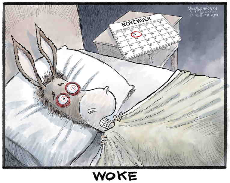 Political/Editorial Cartoon by Nick Anderson, Houston Chronicle on Biden Fails Cognitive Test