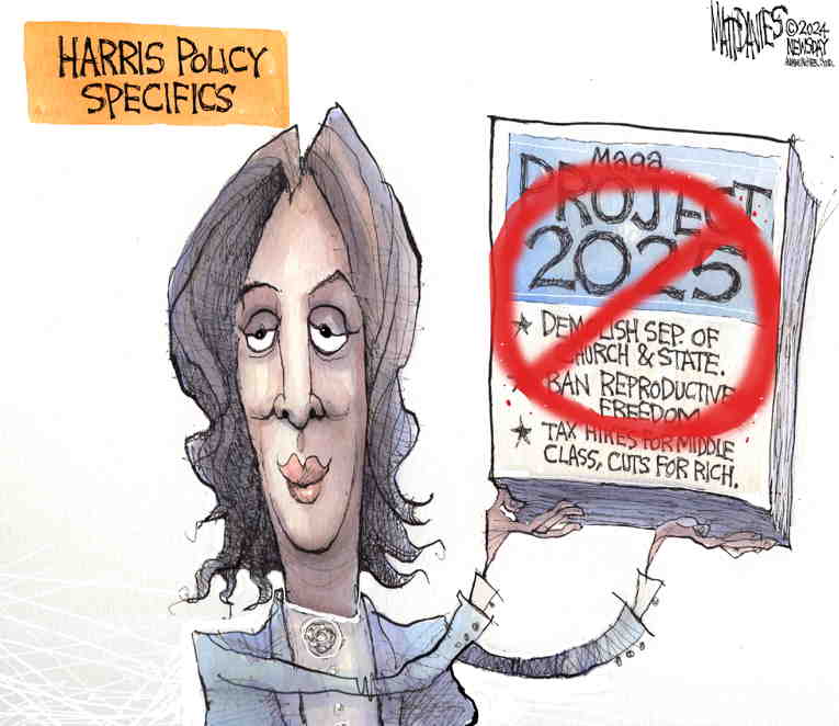 Political/Editorial Cartoon by Matt Davies, Journal News on Kamala Surges