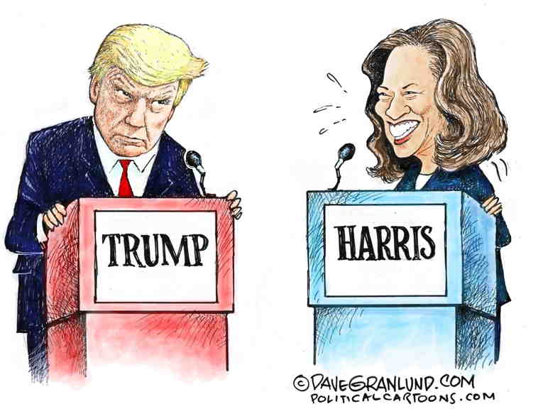 Political/Editorial Cartoon by Dave Granlund on Trump Crashes and Burns