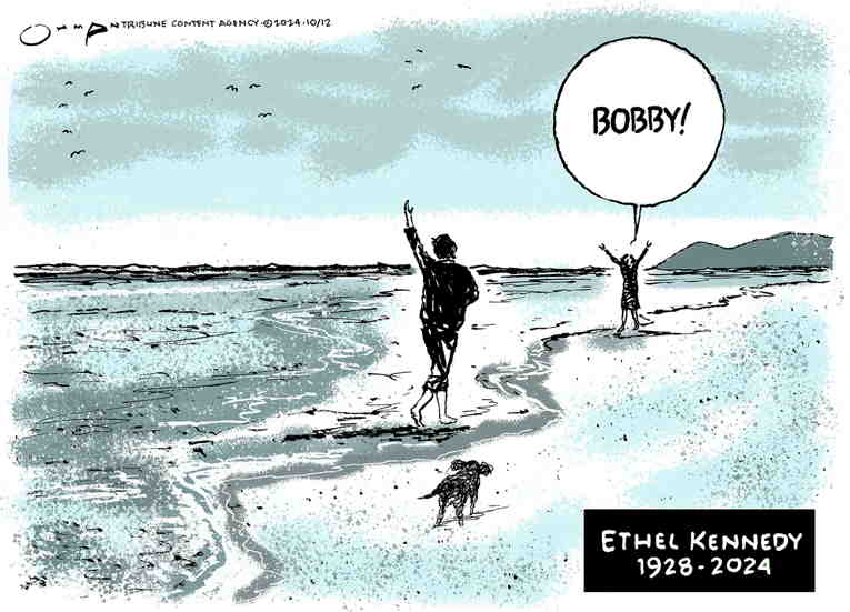 Political/Editorial Cartoon by Jack Ohman, The Oregonian on In Other News