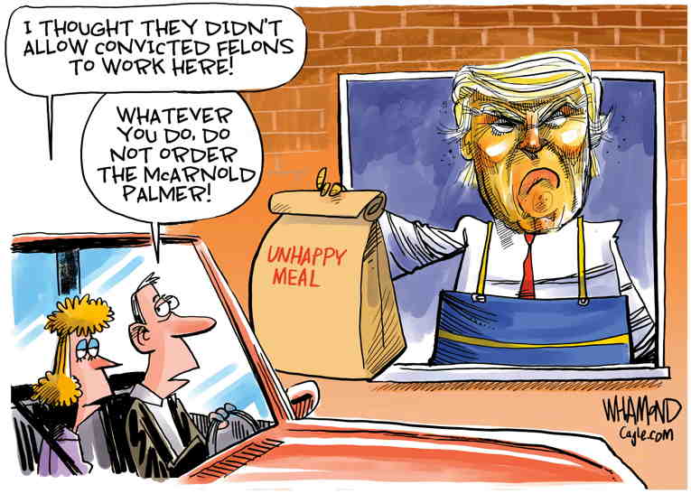 Political/Editorial Cartoon by Dave Whamond, Canada, PoliticalCartoons.com on Trump Stages Photo Op