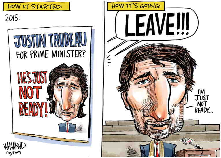 Political/Editorial Cartoon by Dave Whamond, Canada, PoliticalCartoons.com on In Other News