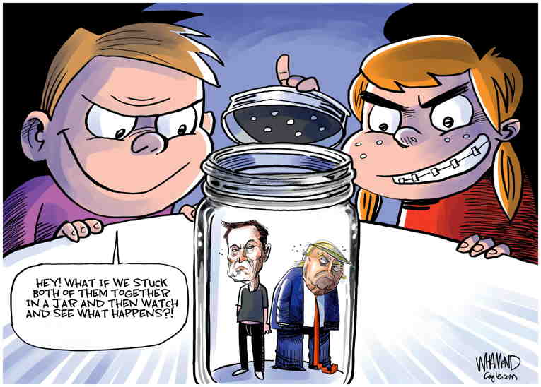 Political/Editorial Cartoon by Dave Whamond, Canada, PoliticalCartoons.com on Musk Attacks