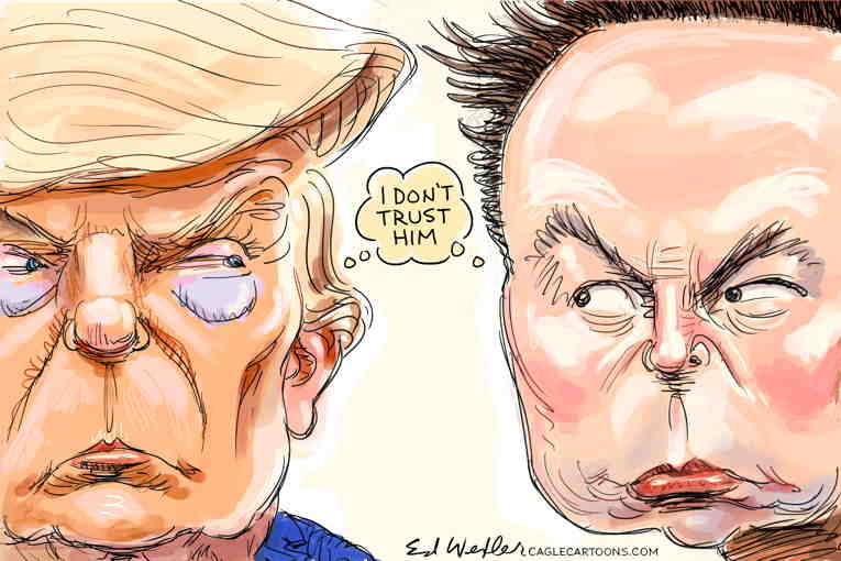 Political/Editorial Cartoon by Ed Wexler, PoliticalCartoons.com on Musk Flexes Muscle