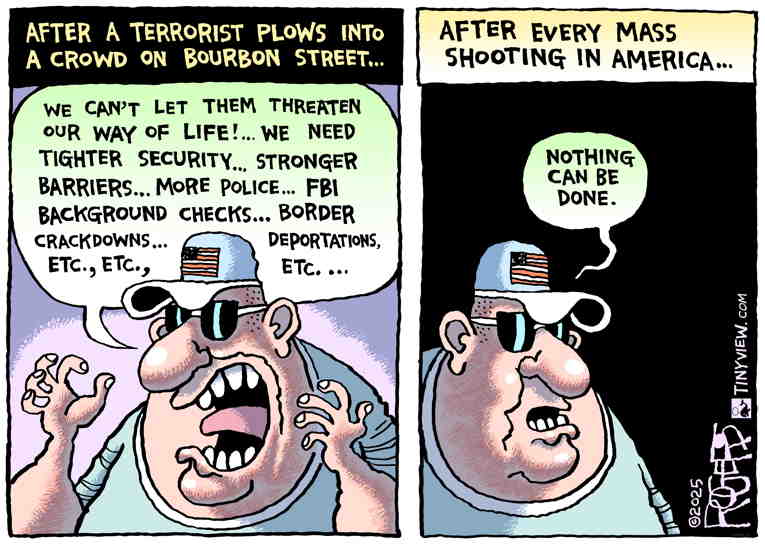 Political/Editorial Cartoon by Rob Rogers on Madman Kills Partygoers