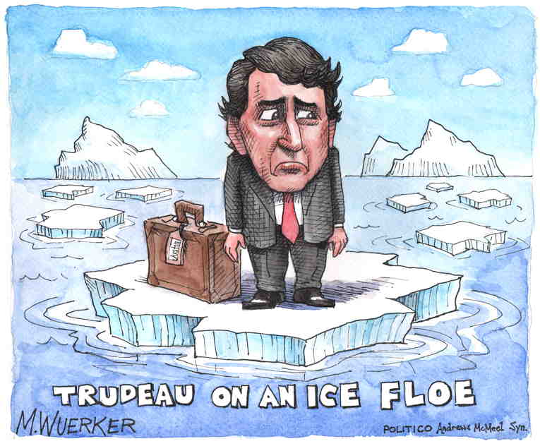 Political/Editorial Cartoon by Matt Wuerker, Politico on In Other News