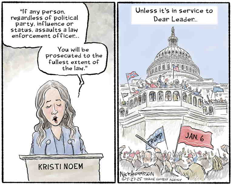 Political/Editorial Cartoon by Nick Anderson, Houston Chronicle on In Other News