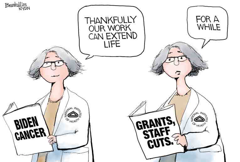 Political/Editorial Cartoon by Bill Bramhall, New York Daily News on In Other News
