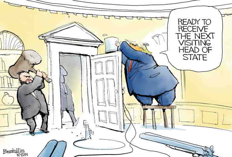 Political/Editorial Cartoon by Bill Bramhall, New York Daily News on Trump Lies on S. Africa