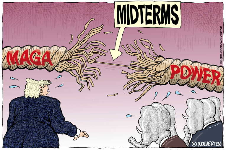 Political/editorial cartoon