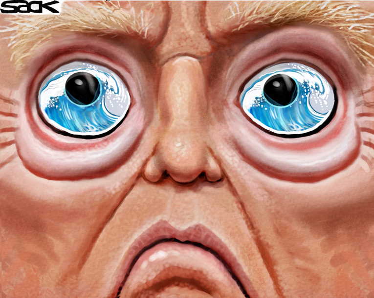 Political/editorial cartoon