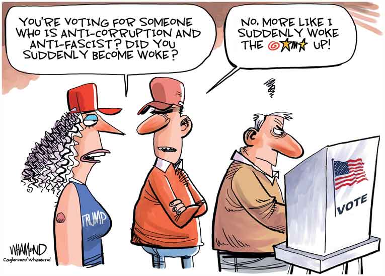 Political cartoon of the day